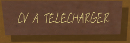 Téléchargez mon CV